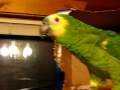 videos de Bella being silly
