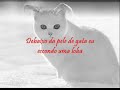 a loba