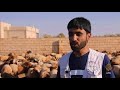 مشروع أضاحي قطر الخيرية يستهدف 100 ألف نازح في الشمال السوري -Views : 0