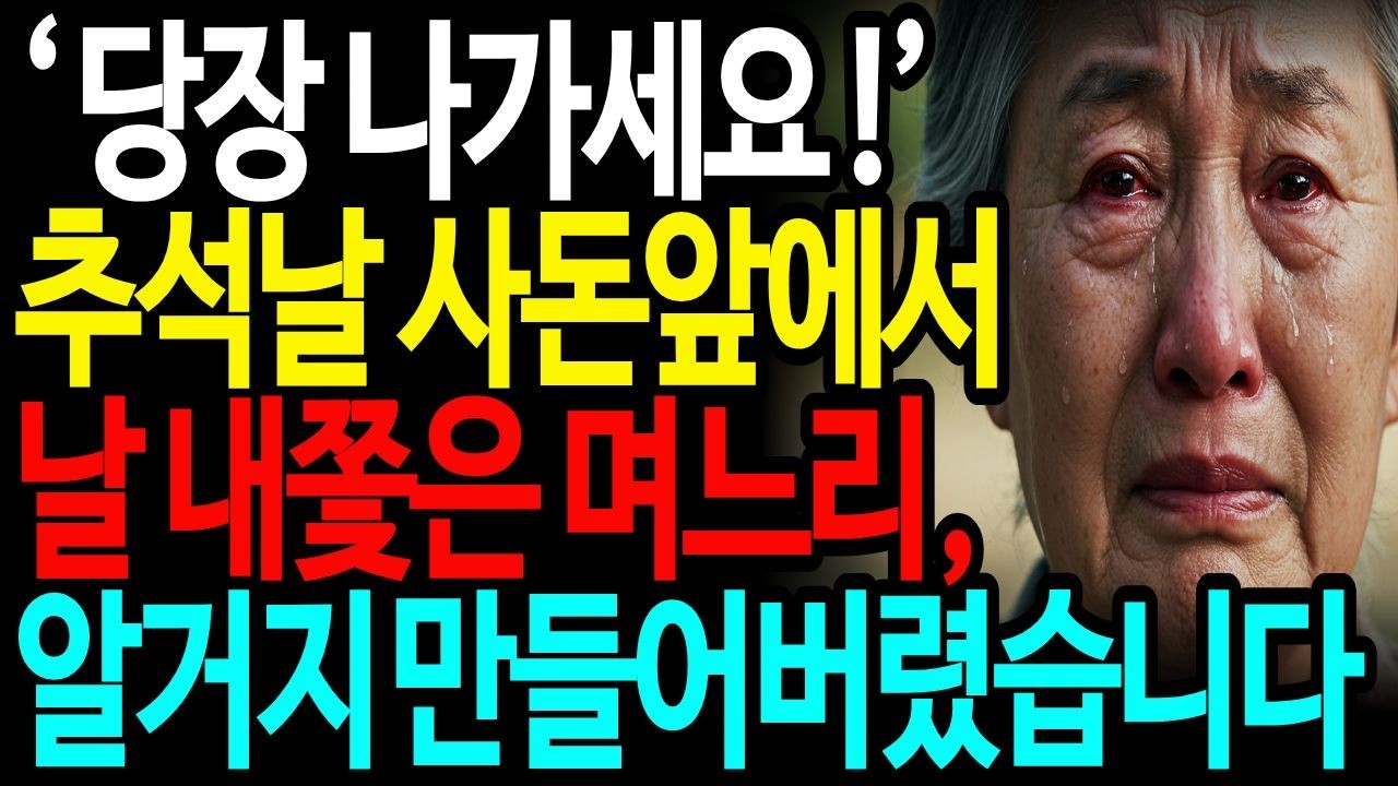 "추석날 밤 사돈 앞에서 나를 내쫓은 며느리, 집팔고 땅팔고 복수했습니다."ㅣ추석날ㅣ시니어사연ㅣ오디오북ㅣ노후사연ㅣ