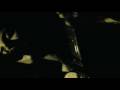 Marissa Nadler-Silvia