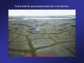 The Truth about ANWR drilling.
