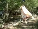 Cassi the Flying Dog Part 3 - Superdog