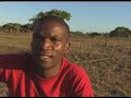 MOZAMBIQUE - RATS MOZAMBIQUE - RATS