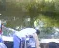 agva