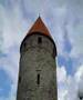 Estland meine Liebe/ Estonia my love