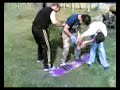 snowboard 361