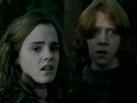 Ron and Hermione - The Notebook