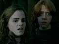 Ron and Hermione - The Notebook