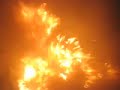 2007 Ottery St Mary Tar Barrels.