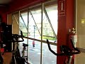 MAQUINAS PARA GIMNASIO GOLD GYM EQUIPOS PARA GIMNASIO