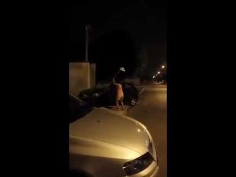 DETETIVE - MULHER DESCOBRE TRAIÇÃO E DESTRÓI O CARRO DO MARIDO