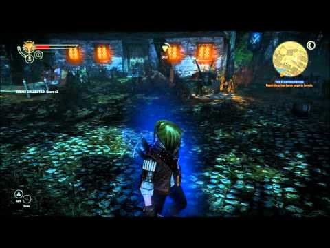 The Witcher 2 : Assassins of Kings