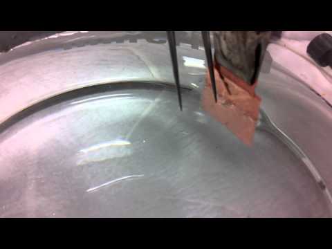 how to grow graphene by cvd