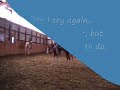 Learning to Lope Learning to Lope