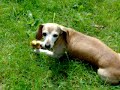 Vega 02 Vega 02