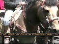Lucero, m�sica y viene la feria.