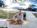 Happiest Dog Ever Welcomes Home Soldier Dad