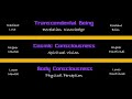 Transcendental Reality
