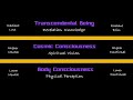 Transcendental Reality Transcendental Reality