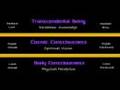 Transcendental Reality