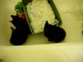 bathroom kittehs