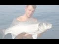BARS 6kg80 seabass ,zeebaars