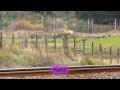 Trunk Trains - HD