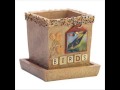 Garden and Home Decor Ideas