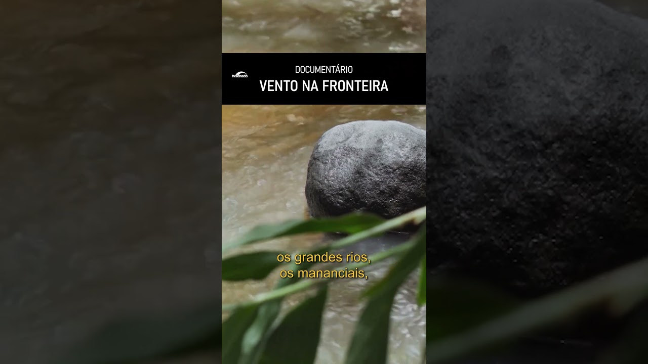 No Dia dos Povos Indígenas, uma reflexão sobre direito à terra #shorts