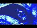 videos de DNA-Desoxyriboucleinezuur-. (2003)