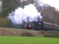 Linesiding - Terrier W8 Freshwater at the Bluebell Railway.wmv