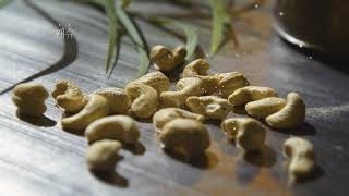 video thumbnail OTREE GOURMET BLOSSOM youtube