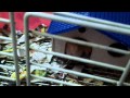 Video xhamster Video xhamster