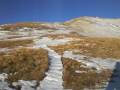 videos de Endangered Species Research Area Uncompahgre Peak, Colorado