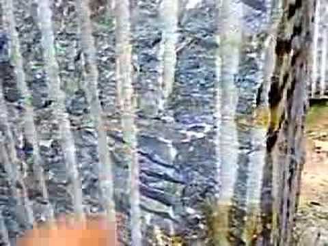 Blue quartzite block