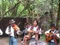 Quichua Mashis: Oregon Country Fair Path Band