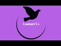 Contact Us Contact Us