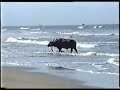 4 weeks in india in 10 minutes