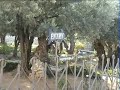 Sz?z M�ria s�rja �s a Gecsem�n�-kert