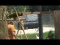 Lorikeet Video Lorikeet Video
