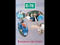 E-76   Asfaltcowboy