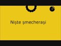 Niste smecherasi
