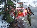 Rufous Hummingbird feeding frenzy