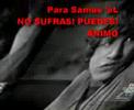 videos de Samuel g.c.
