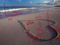 عادل محمود و منى امرشا الحب يكبر.wmv