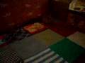videos de Lajka prieskumnicka