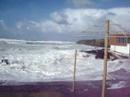 wedge bodyboard