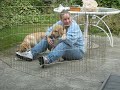 Jeanne & puppies in pen #4