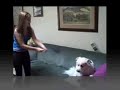 Rabid dogs and movies Rabid dogs and movies